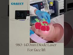 la panacea endolaser endolift